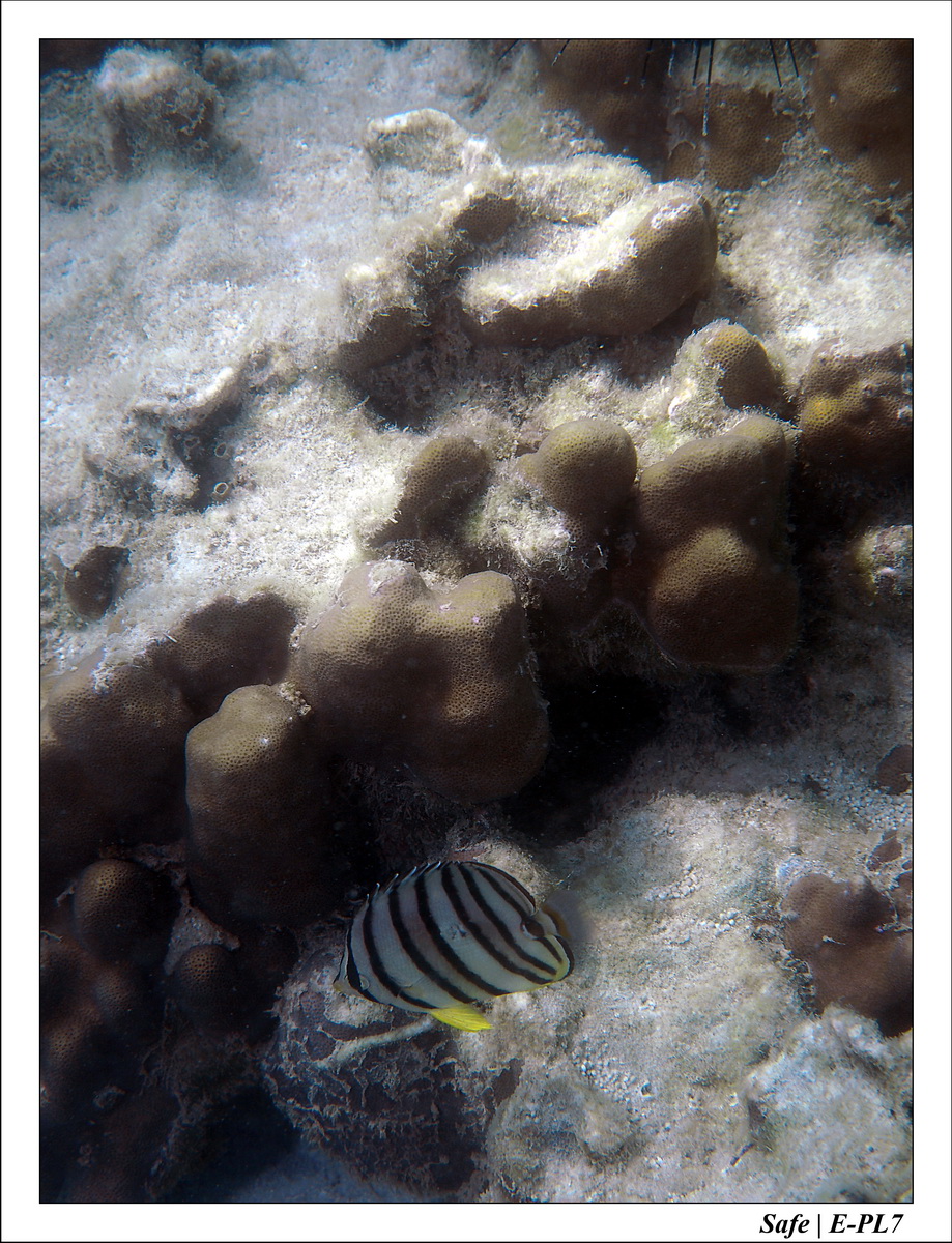 2018 - 08 - Pulau Besar - 13